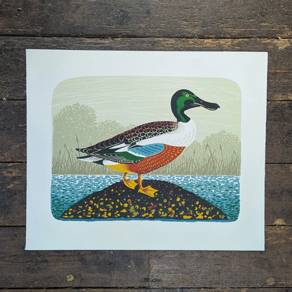 Northern Shoveler Art Screen Print