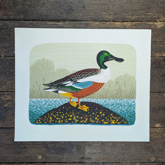 Northern Shoveler Art Screen Print