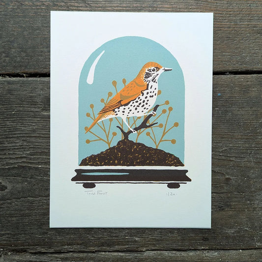 Screen printed illustration of a wood thrush taxidermy bird in a glass dome on a wooden surface by illustrator and artist-printmaker, Tom Frost