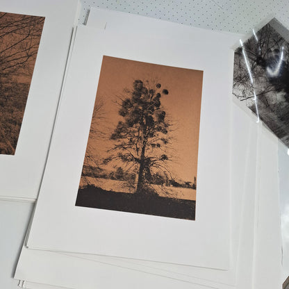 An Abundance of Mistletoe Art Screen Print