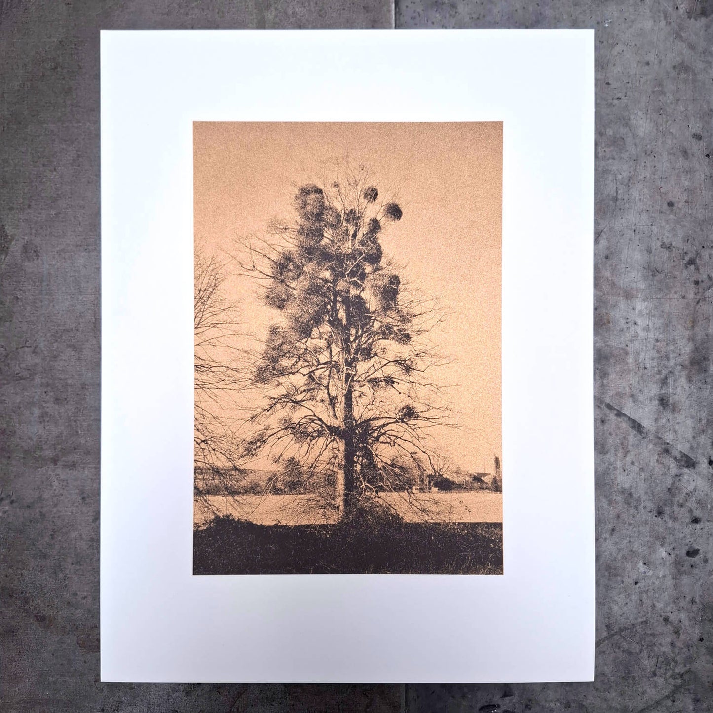 An Abundance of Mistletoe Art Screen Print