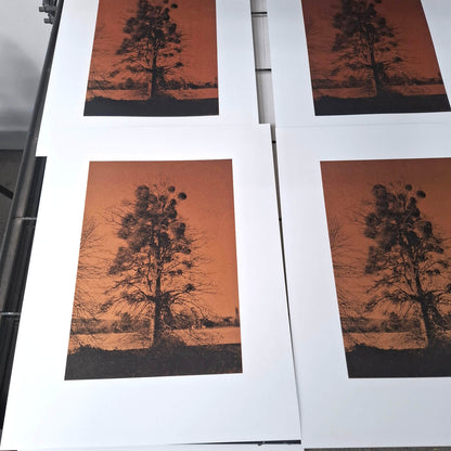 An Abundance of Mistletoe Art Screen Print