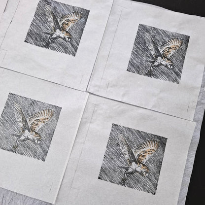 Barn Owl Print