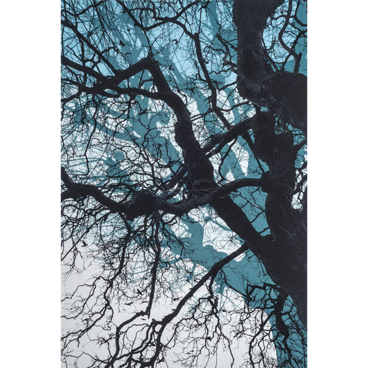 Branches Blue Print