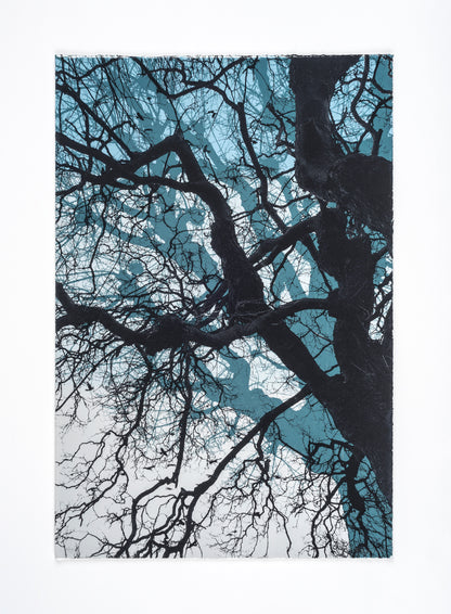 Branches Blue Print