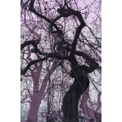 Branches Purple Print