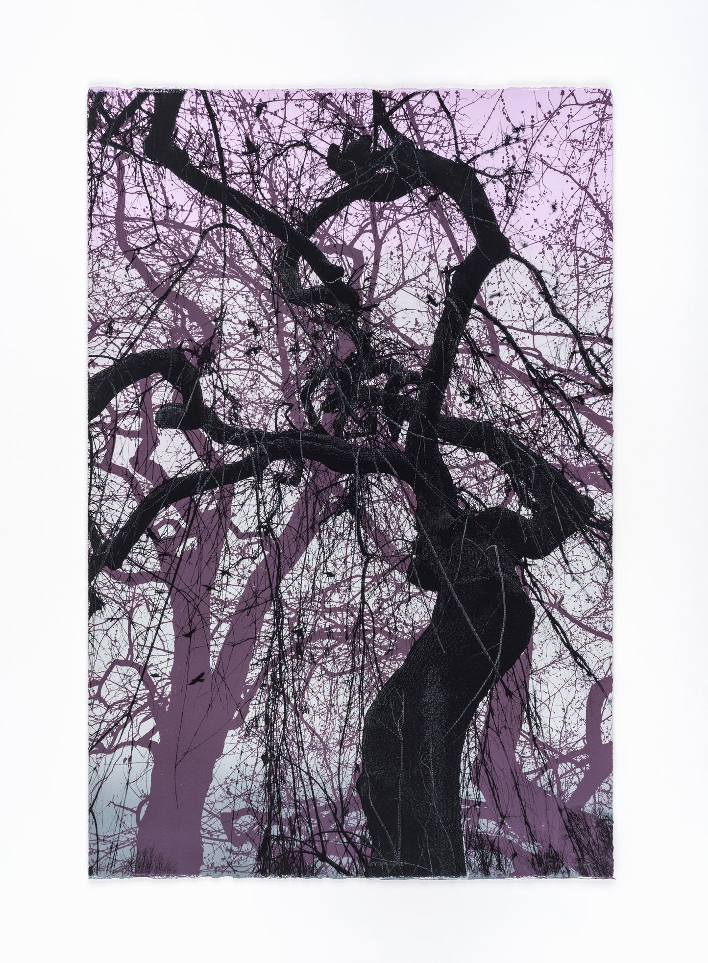 Branches Purple Print
