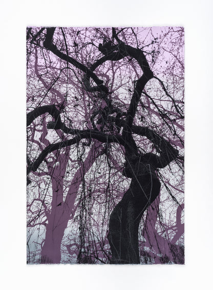 Branches Purple Print