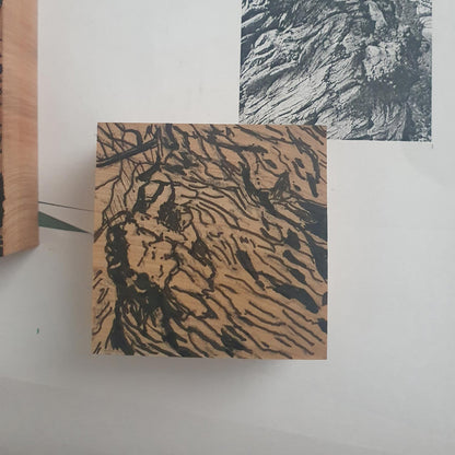 Chestnut Scars Wood Engraving Art Print