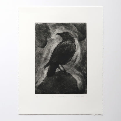Corvus Monedula 1 Print