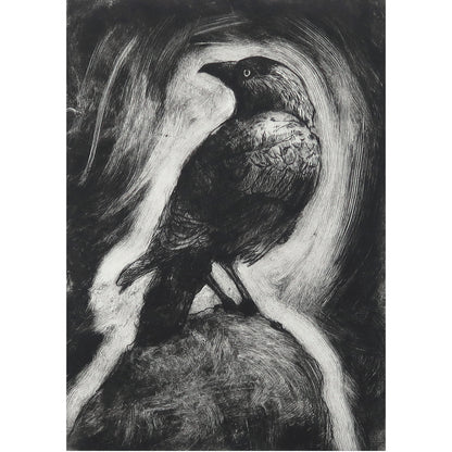 Corvus Monedula 6 Print