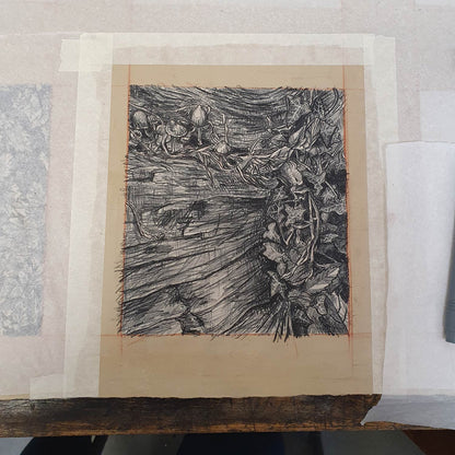 Decomposition Print