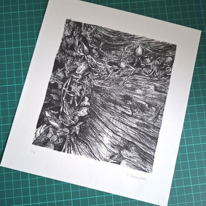 Decomposition Print
