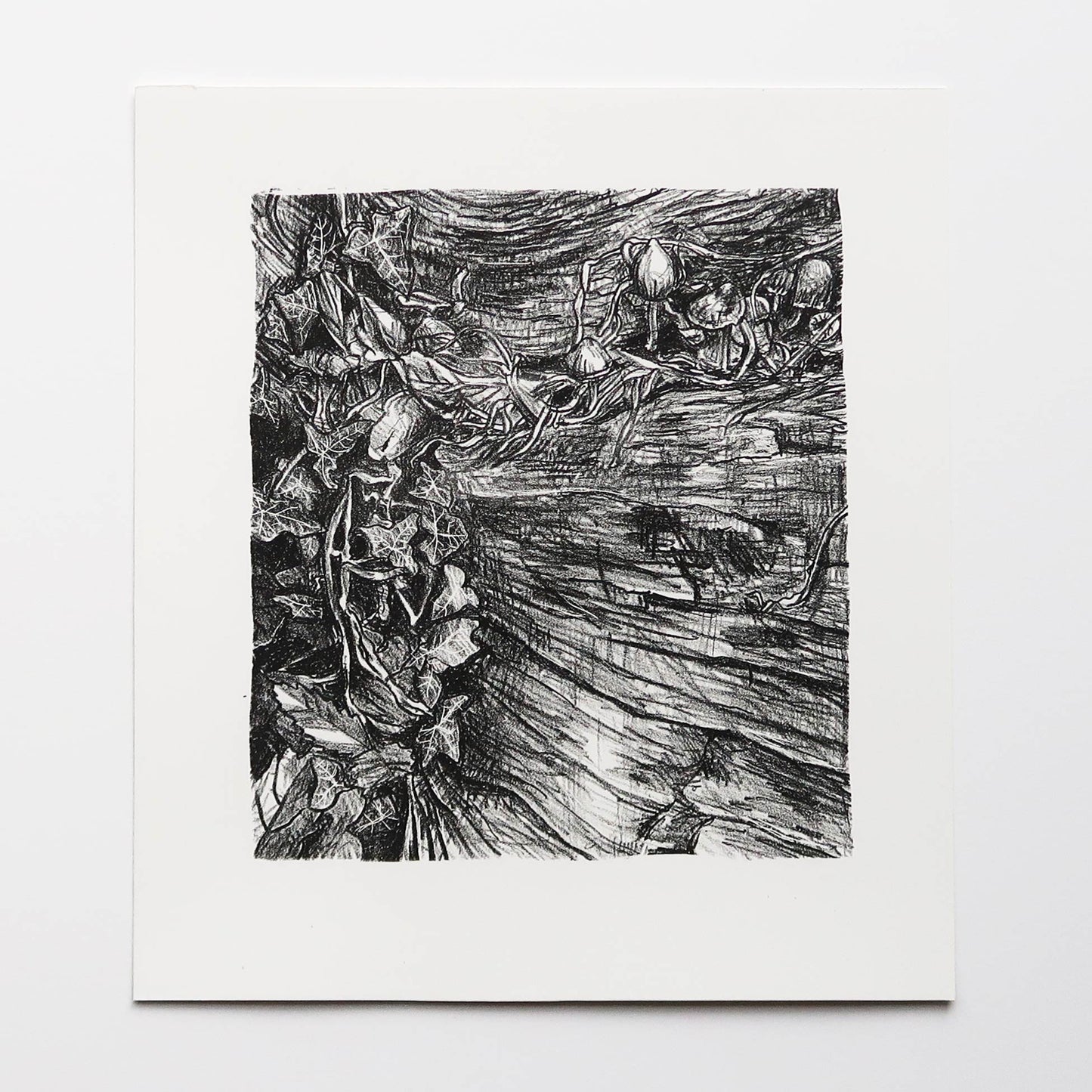 Decomposition Print