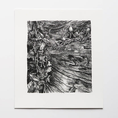 Decomposition Print