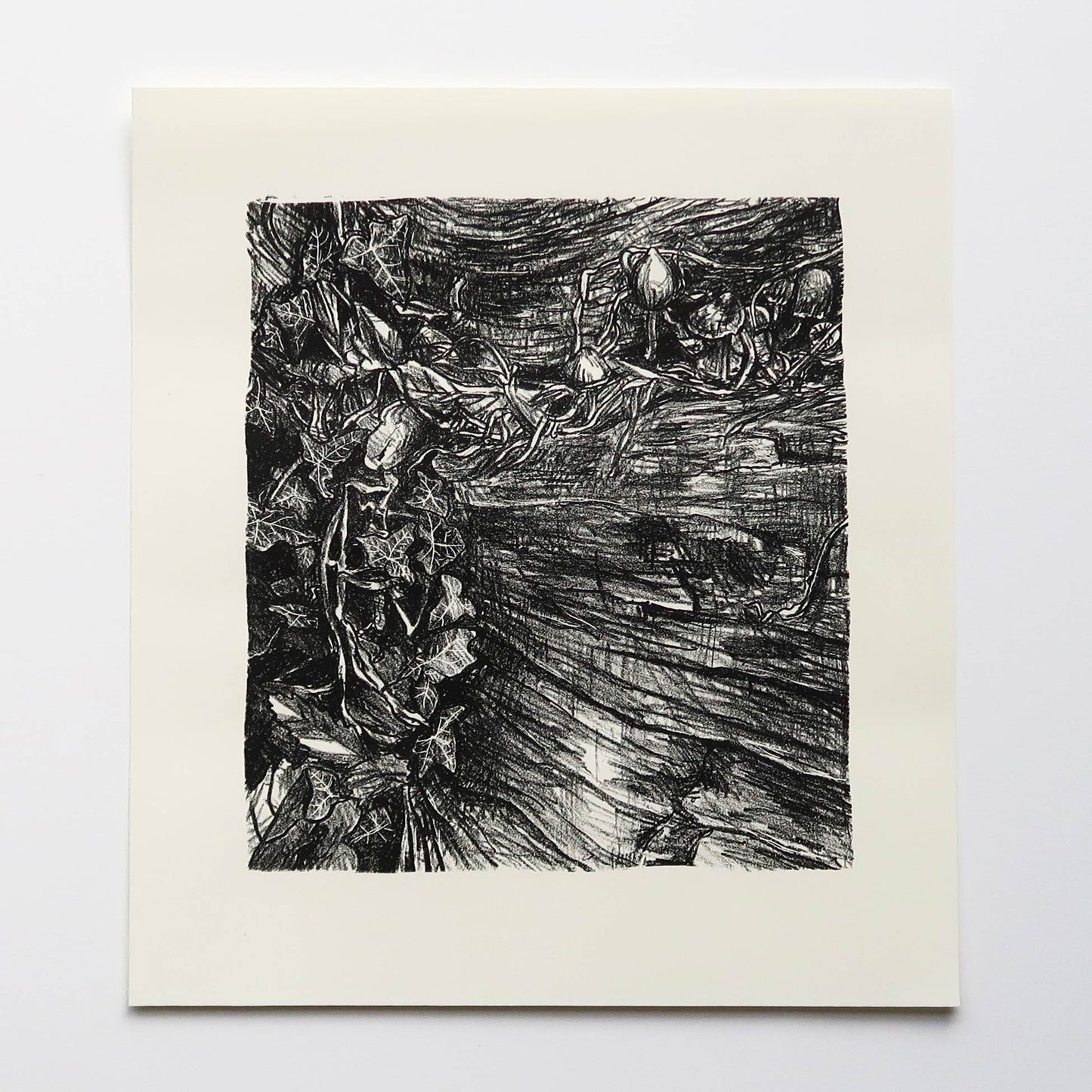 Decomposition Print