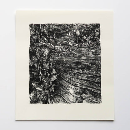 Decomposition Print