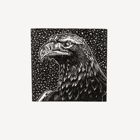 Eagle Wood Engraving Art Print