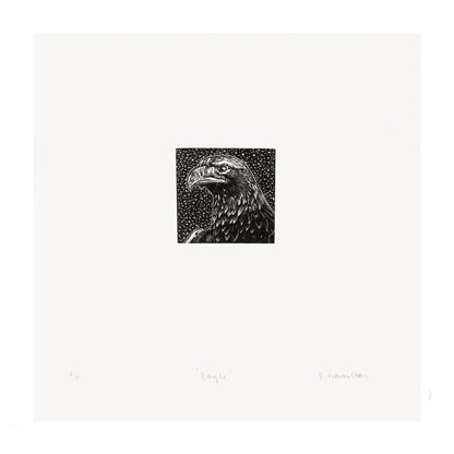 Golden eagle head wood engraving in black and white by contemporary printmaker and artist, Fiona Hamilton. 