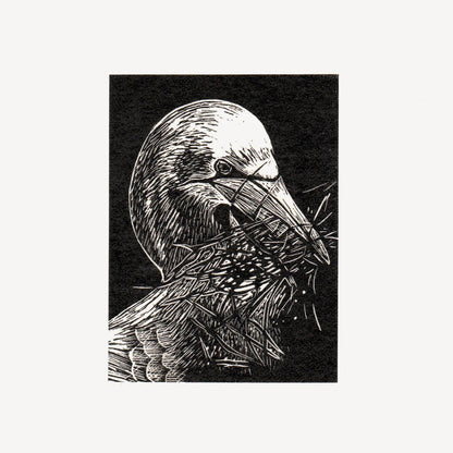 Gannet Wood Engraving Art Print