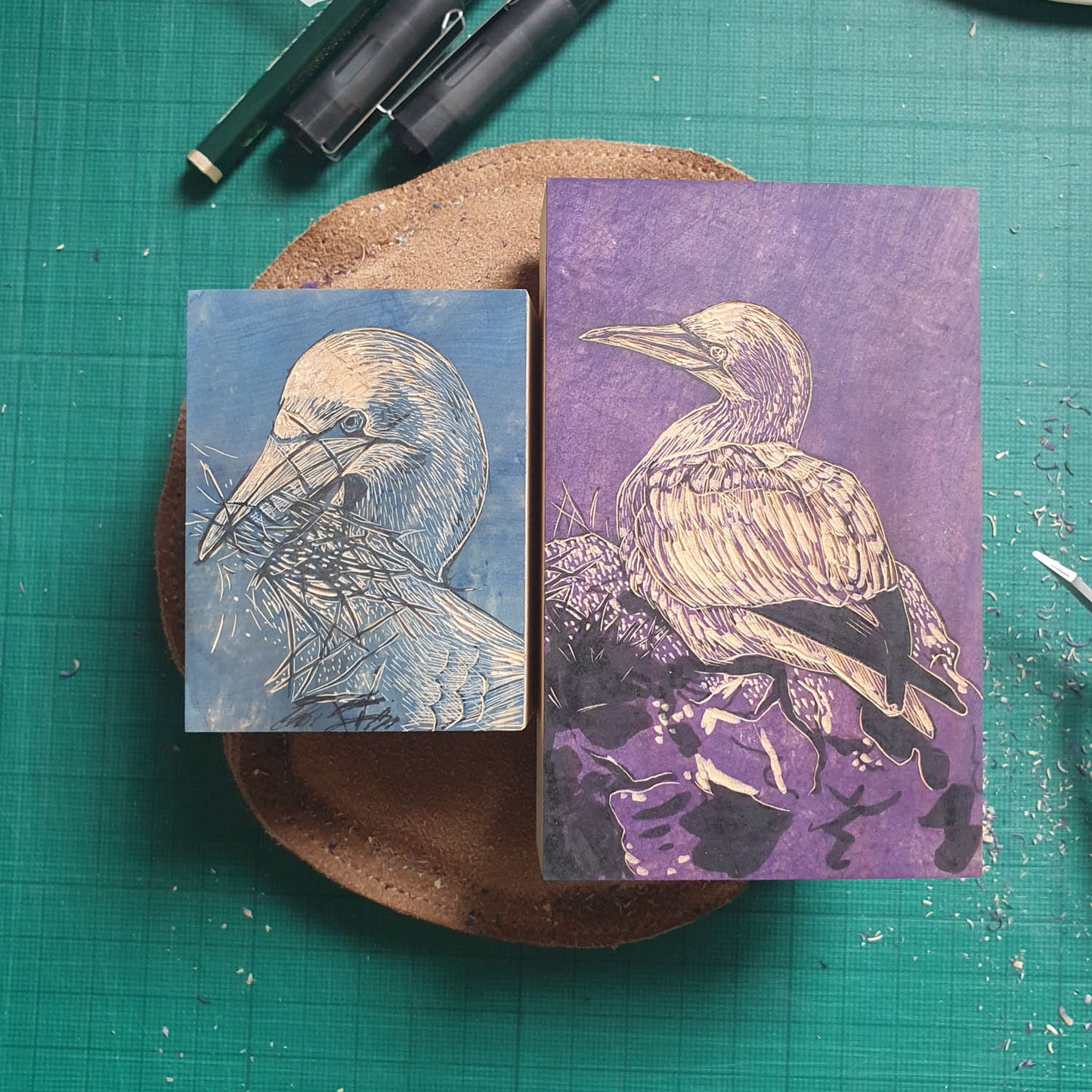 Gannet Wood Engraving Art Print