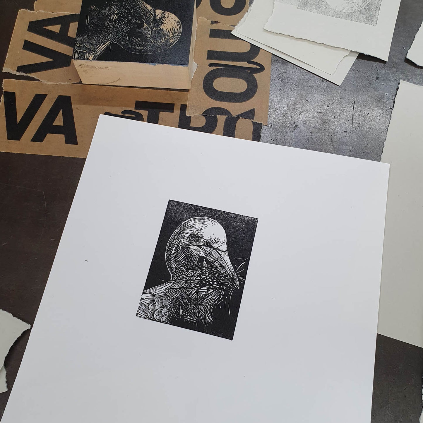 Gannet Wood Engraving Art Print