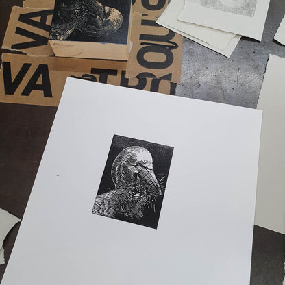 Gannet Wood Engraving Art Print
