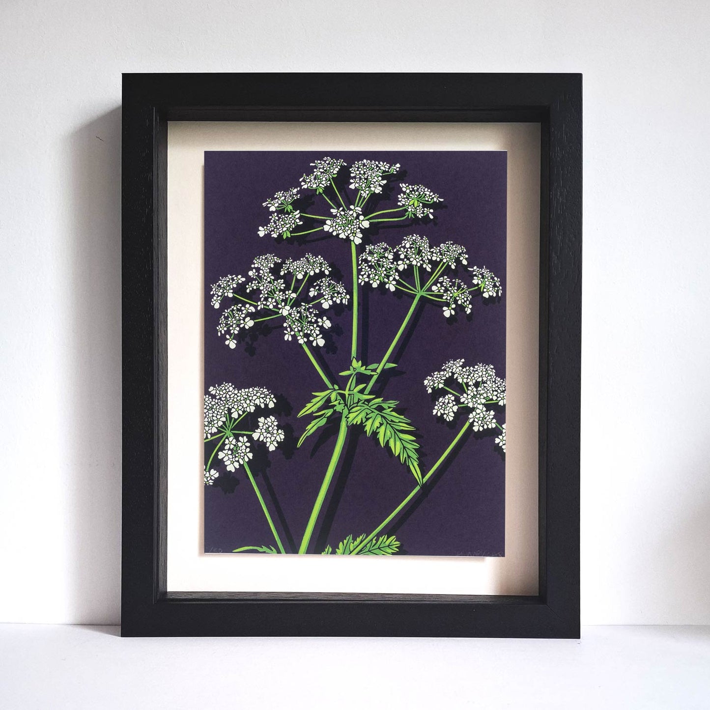 Cow Parsley Print