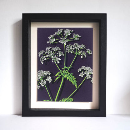 Cow Parsley Print