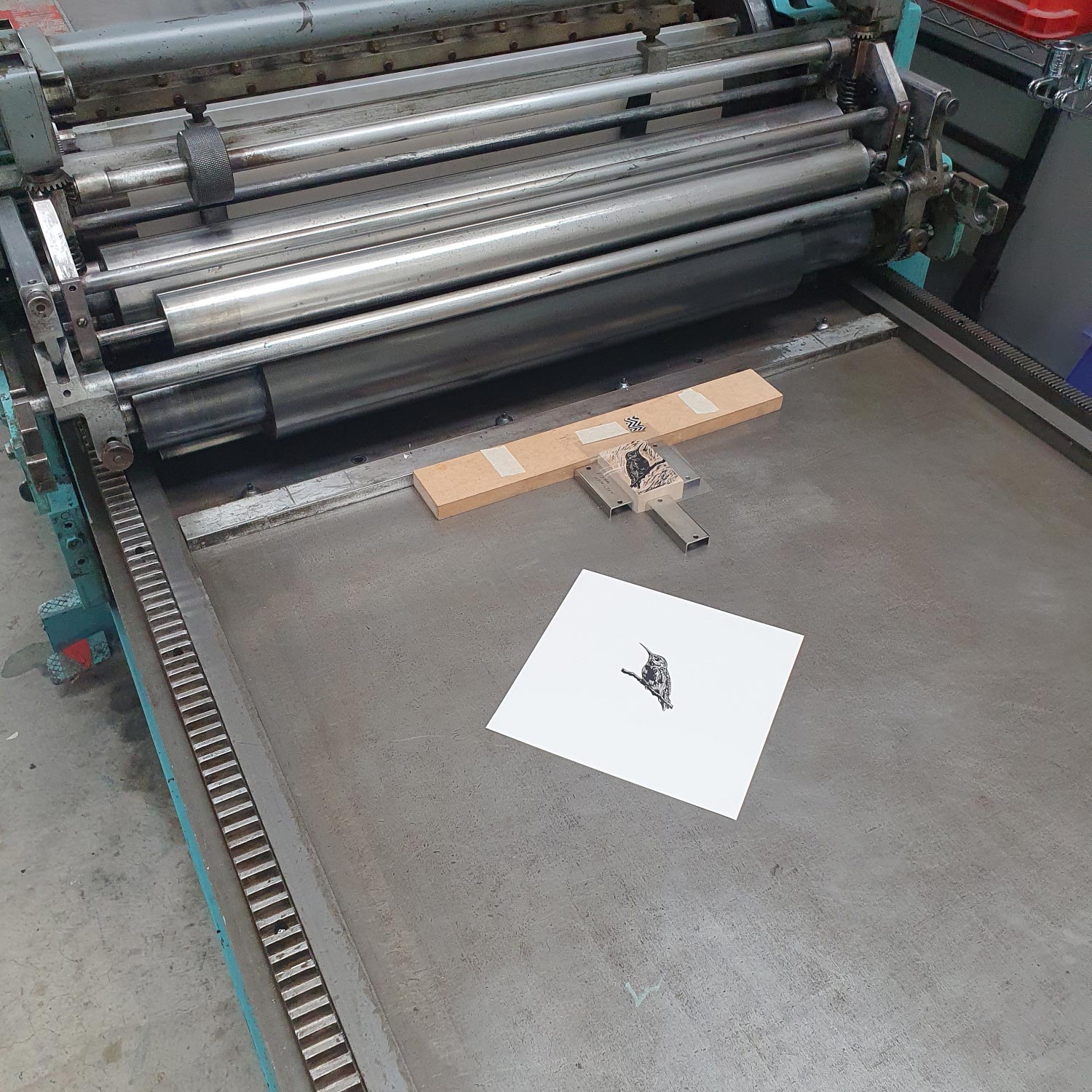 Wood engraving print of Anna's Hummingbird miniature hand printed wood cut relief print in black and white by Fiona Hamilton.