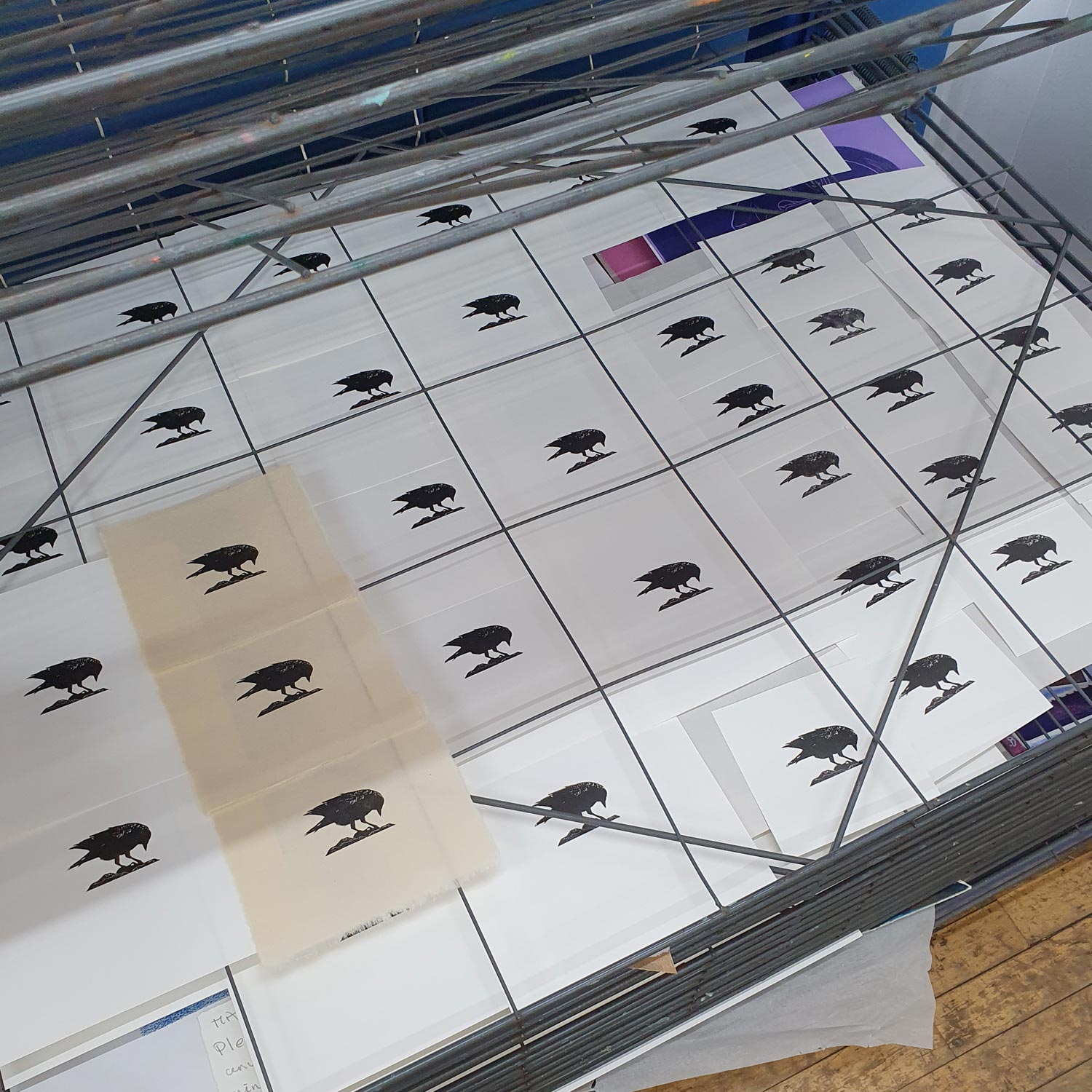 Pecking Jackdaw miniature original wood engraving carved and cut print by artist Fiona Hamilton.