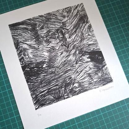 Sunbleached Print
