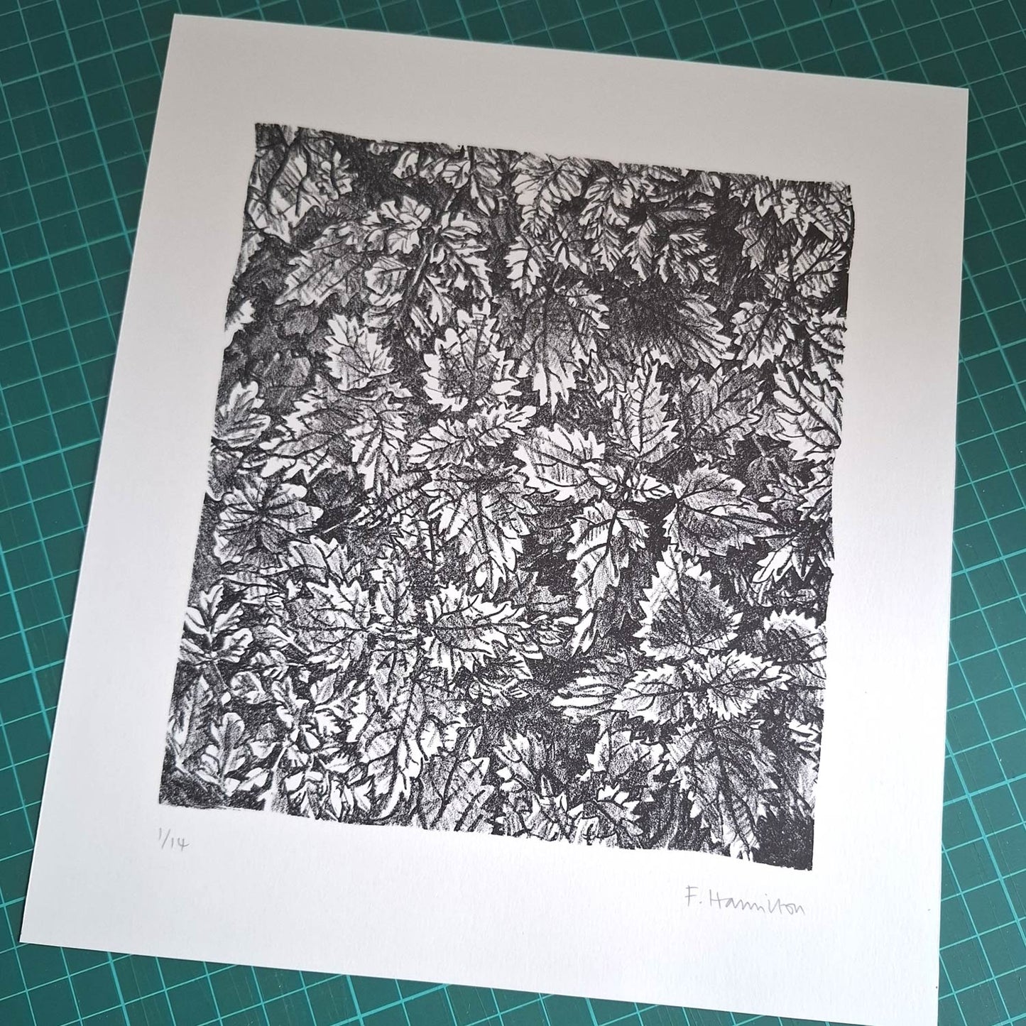 Undergrowth Print
