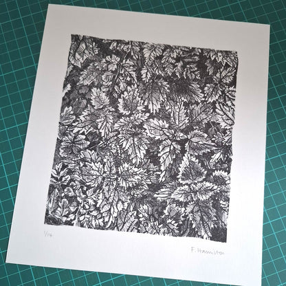 Undergrowth Print