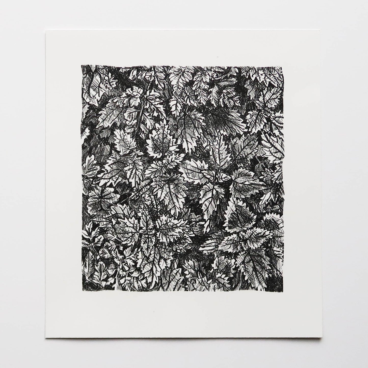 Undergrowth Print