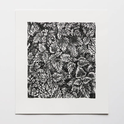 Undergrowth Print
