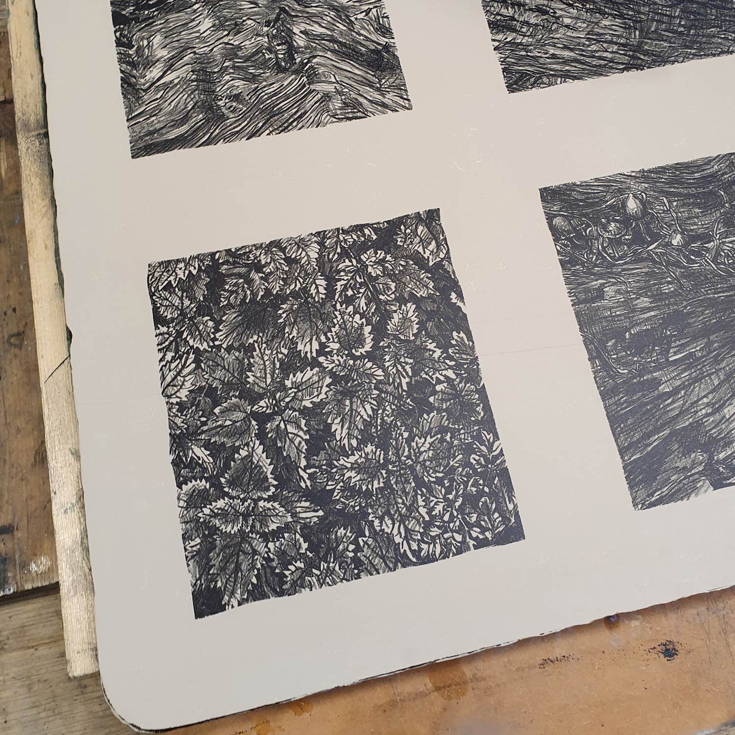 Undergrowth Print
