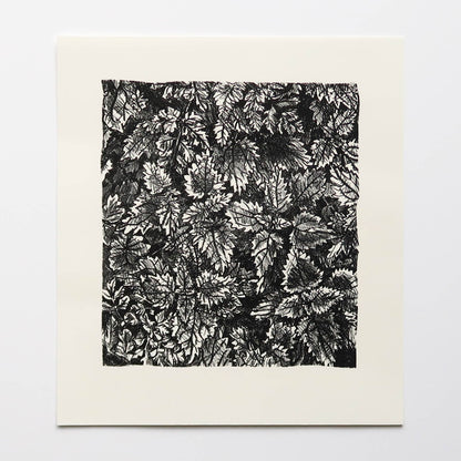 Undergrowth Print