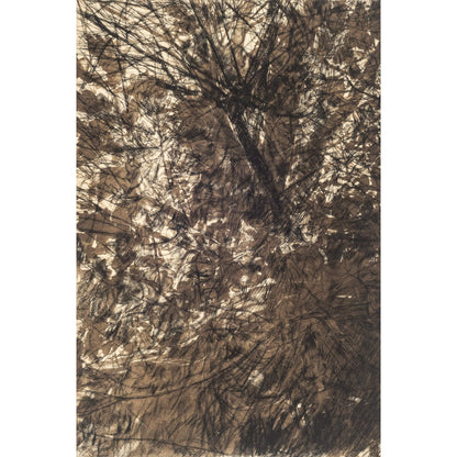 Understorey drypoint etching original art print with lithography and chine colle of trees and branches by Fiona Hamilton in brown, black and cream.