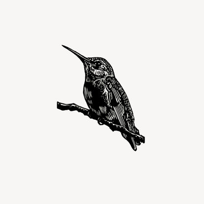 Anna's Hummingbird Print