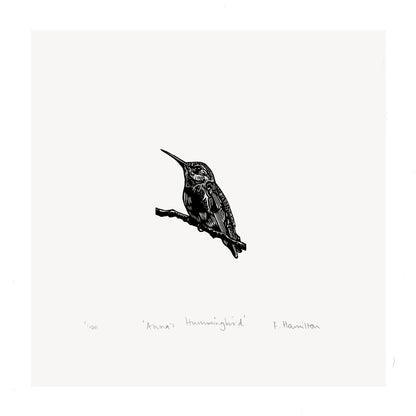 Anna's Hummingbird Print