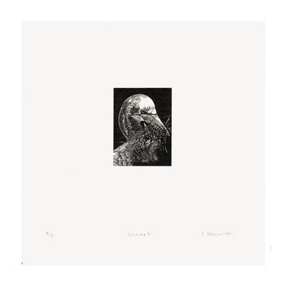 Gannet Wood Engraving Art Print