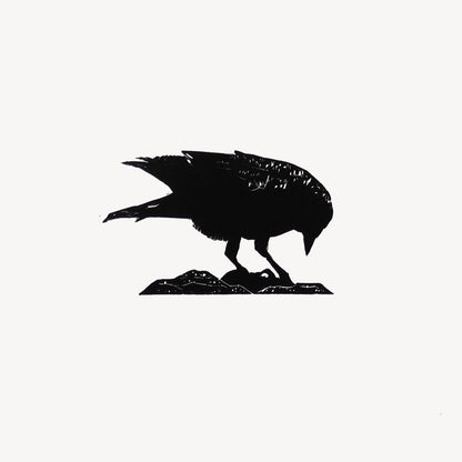 Pecking Jackdaw Print