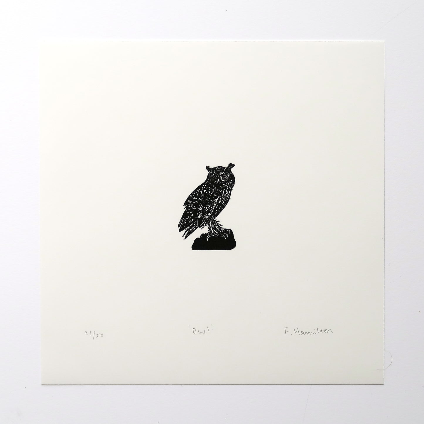 Owl Print