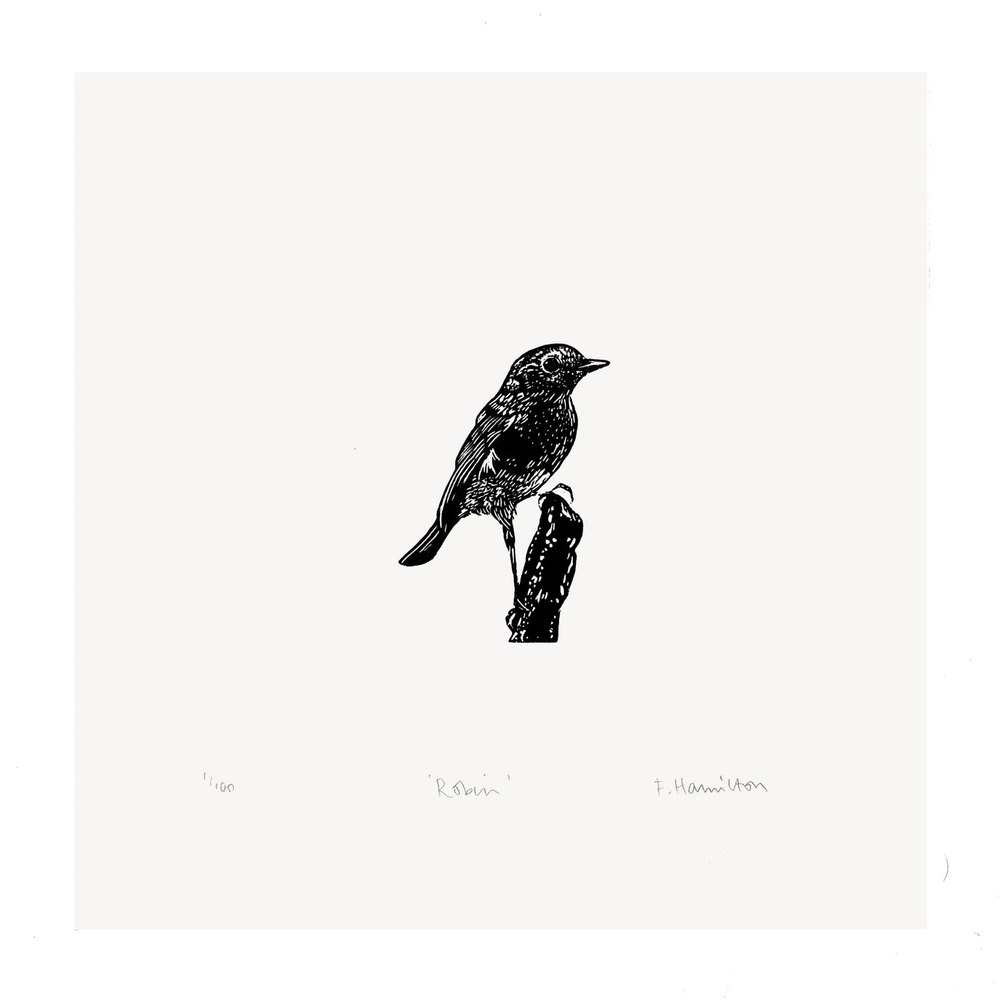 Robin (on stump) Print