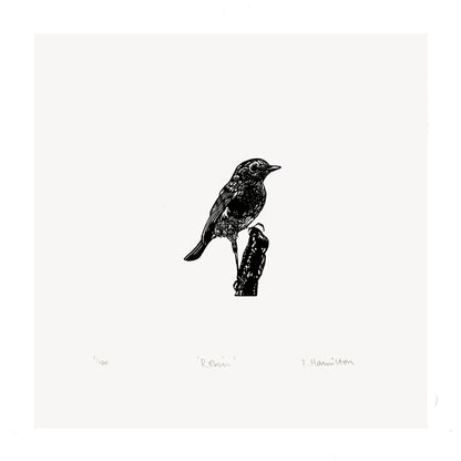 Robin (on stump) Print