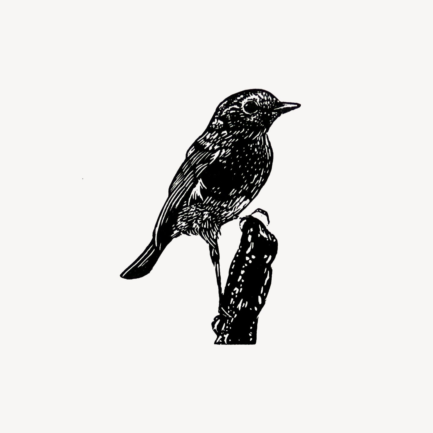 Robin (on stump) Print