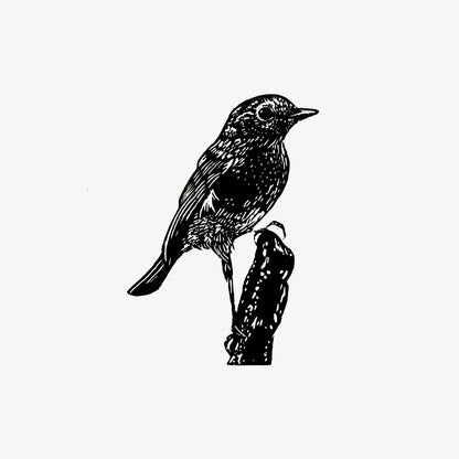Robin (on stump) Print