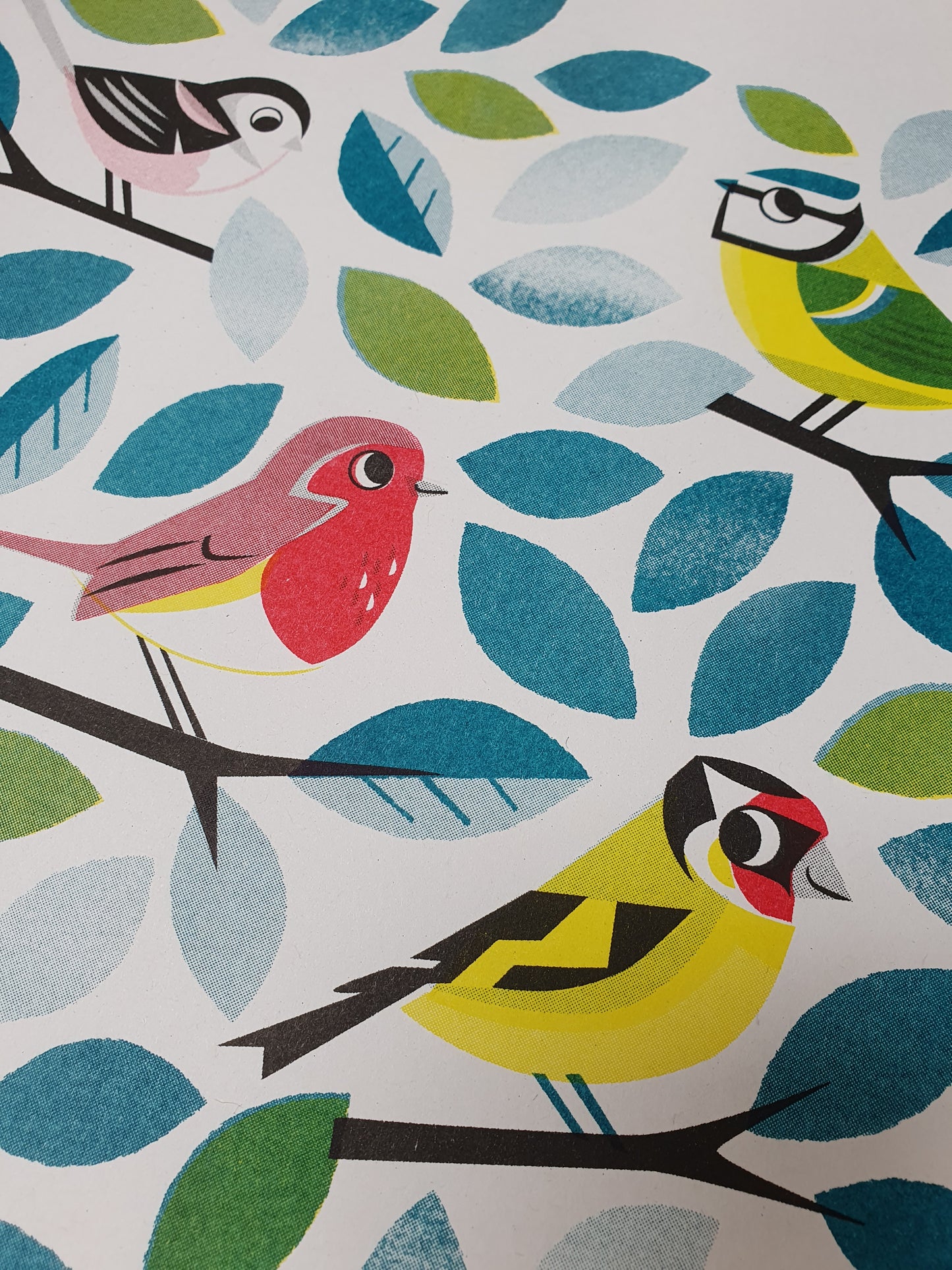 Garden Birds A3 Print