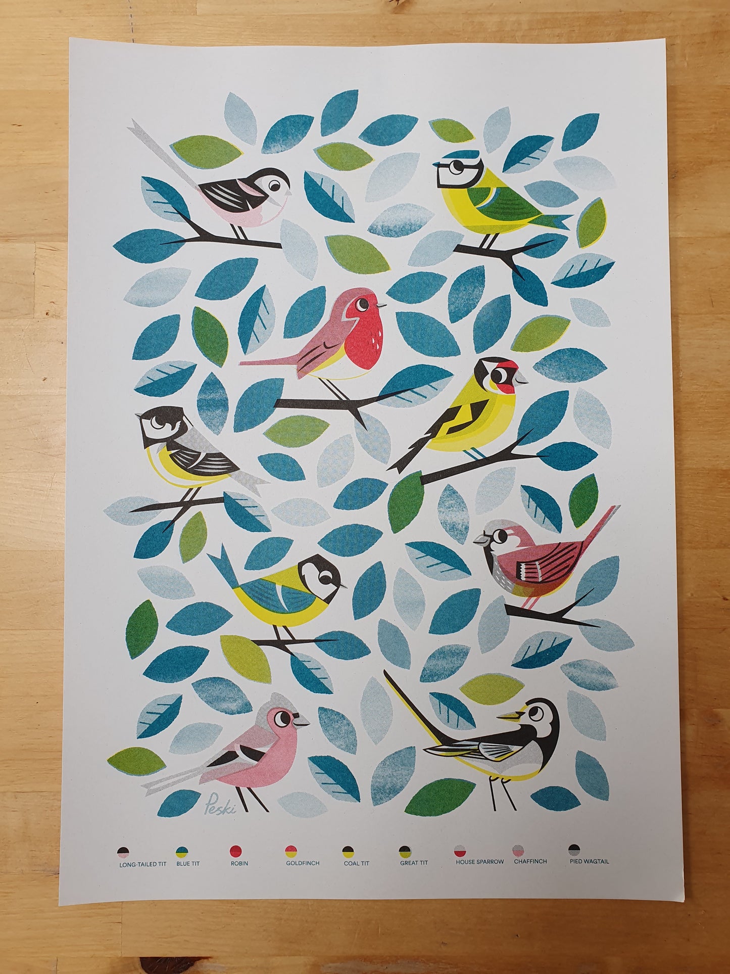 Garden Birds A3 Print